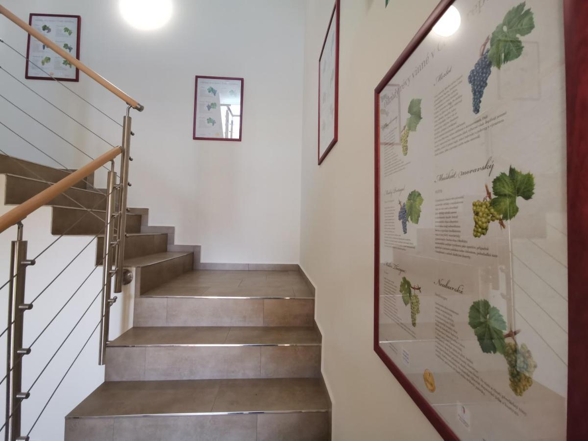 Comenius Moravus Vinarsky Dvur Mikulov Zewnętrze zdjęcie